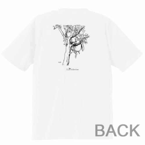 0311c7d206207611987f41404dd7288c_edited