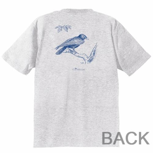 3c74bccfe8035c3cd28fd3849d32e56d_edited